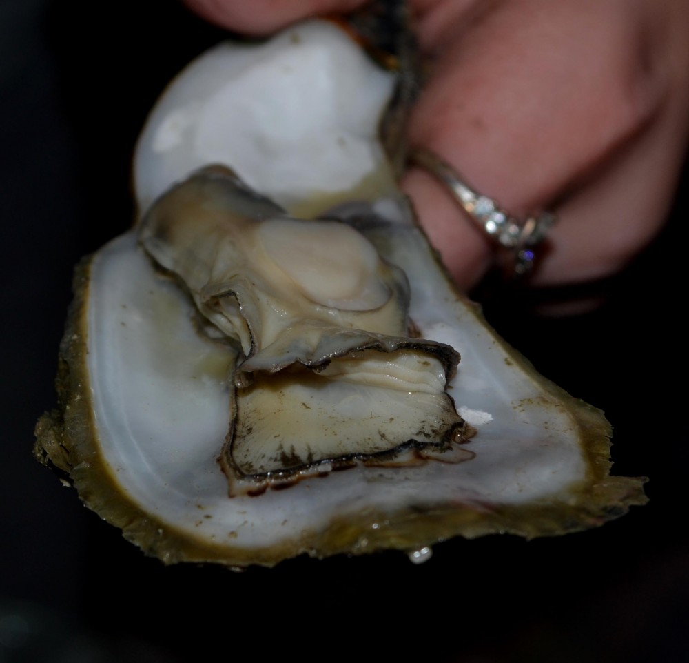 Lowcountry Steamed Oysters – Vegan Daughter Paleo Son @ justonetable.com