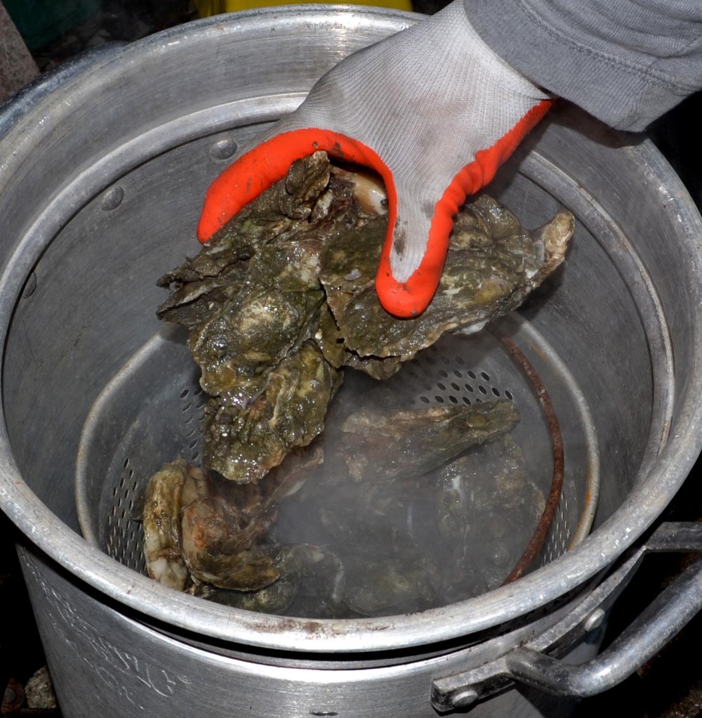 Lowcountry Steamed Oysters – Vegan Daughter Paleo Son @ justonetable.com