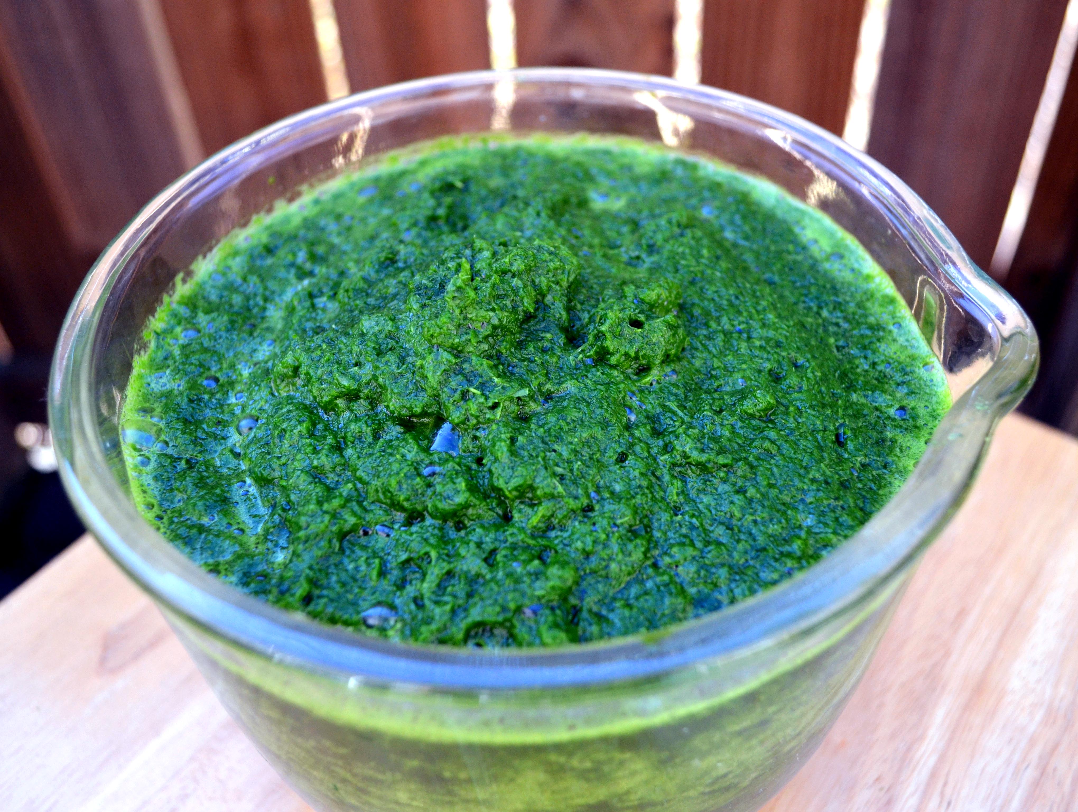 Blender Kale Juice… and a bonus ingredient! Vegan Daughter Paleo Son